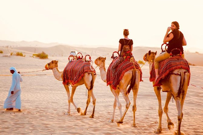 1-Hour Dune Buggy Self-Drive, Camel Ride & Sandboarding Adventure - A 20-minute camel ride keeps things traditional