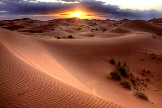 1-Hour Dune Buggy Self-Drive, Camel Ride & Sandboarding Adventure - Photo stops are built into the schedule