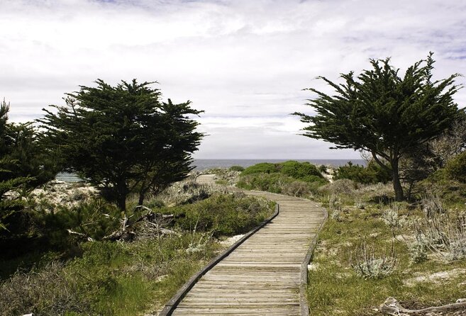 17-Mile Drive Self-Guided Audio Tour from Monterey & Carmel - Starting near Fisherman’s Wharf and Cannery Row
