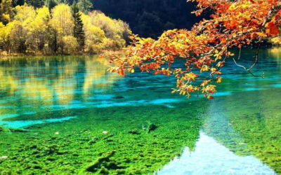 2 Day Chengdu to Jiuzhaigou&Huanglong Self-Guided w/Transfer