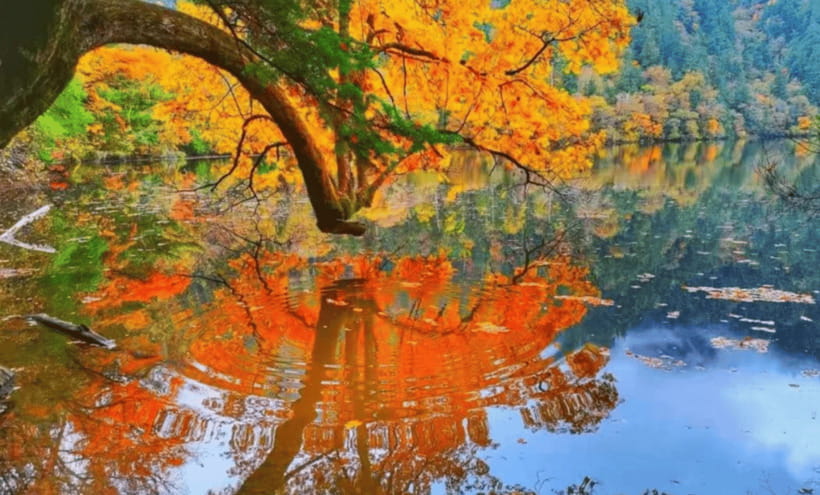 2 Day Chengdu to Jiuzhaigou&Huanglong Self-Guided w/Transfer - How the $386 price measures up