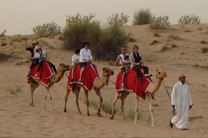 4x4 Self-Drive Quad Bike Safari with Camel Riding - Guides, photos, and the human side of the trip