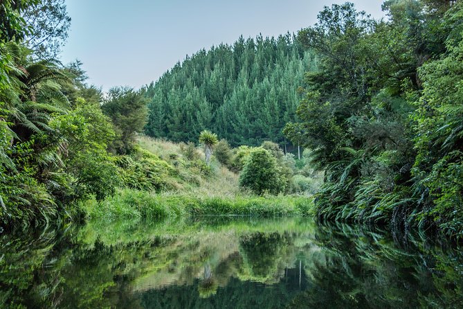 4x4 Self Drive Yamaha Experience - Reaching the Rotorua Lakes lookouts