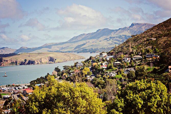 A Remarkable Scavenger Hunt: Digging Up Canterbury's Treasure - Christchurch Art Gallery adds art and public culture