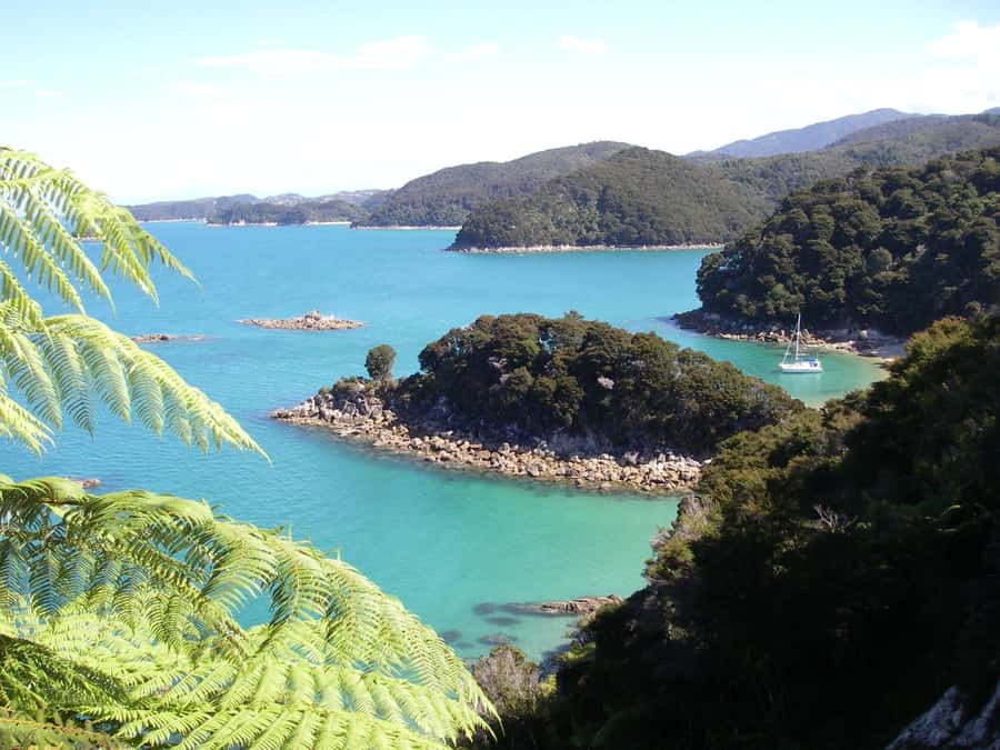 Abel Tasman National Park: Sailing and Self-Guided Walk - Two sides of Abel Tasman in one day
