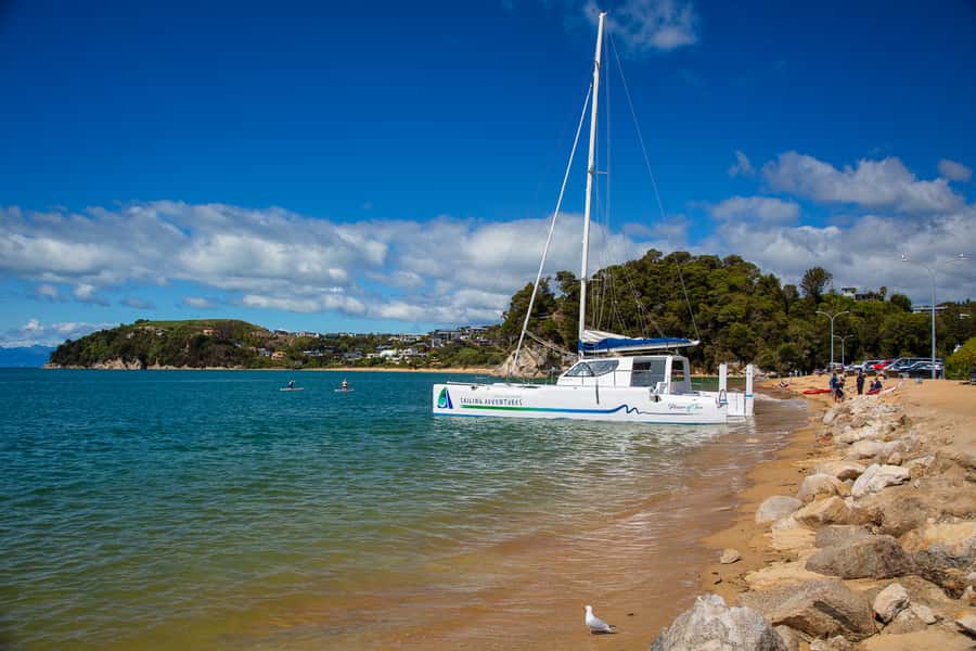 Abel Tasman National Park: Self-Guided Walk & Sailing - Is $88 good value?