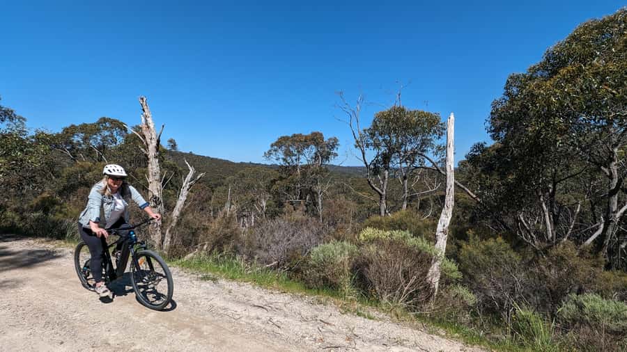 Adelaide Hills: E-Bike Self-Guided Tour with Coffee and Cake - Starting at the Goat Shed in Belair National Park