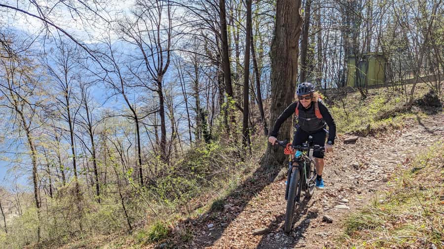 Adelaide Hills: E-Bike Self-Guided Tour with Coffee and Cake - Cleland and Mount Lofty for bigger views