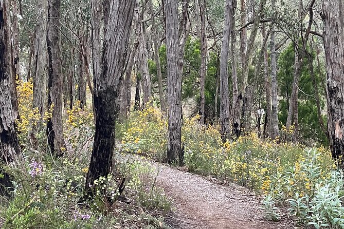 Adelaide Hills Nature Highlights Self-Guided e-Bike Tour - Start at Uraidla with coffee or a quick briefing