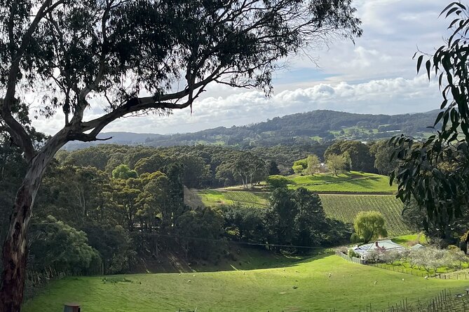 Adelaide Hills Nature Highlights Self-Guided e-Bike Tour - Piccadilly Valley brings the first easy miles
