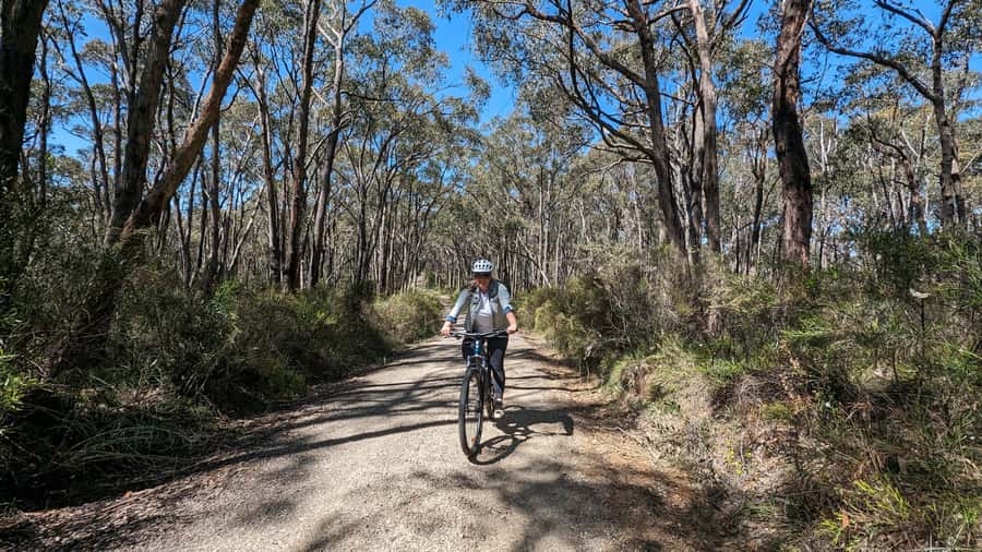 Adelaide Hills: Self-guided E-Bike wine tour with Lunch - Picking between the shorter and longer routes