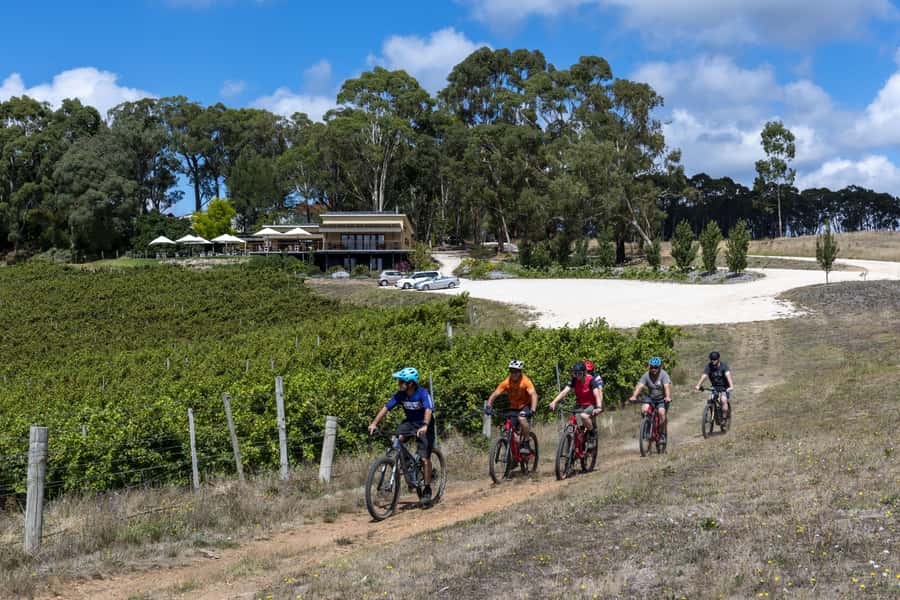 Adelaide Hills: Self-guided E-Bike wine tour with Lunch - The Piccadilly Valley and Mount Lofty views