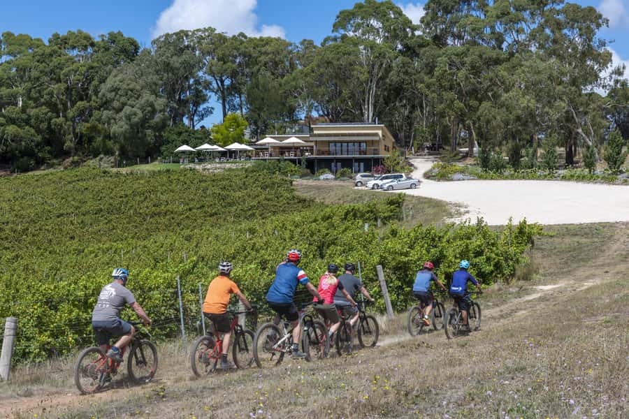 Adelaide Hills: Self-guided E-Bike wine tour with Lunch - Lunch and sparkling wine at Deviation Road or Tapanappa