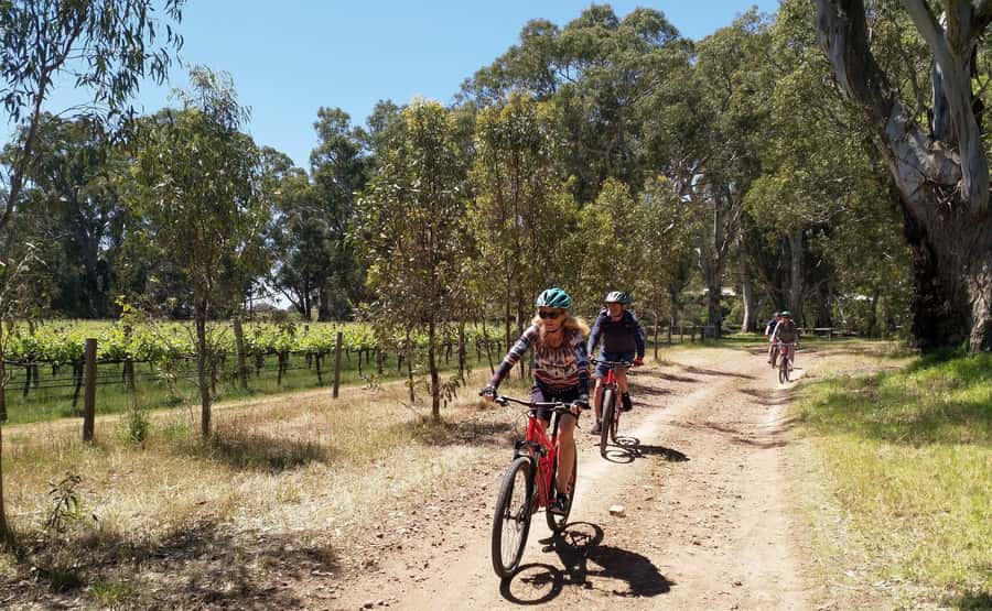 Adelaide Hills: Self-guided E-Bike wine tour with Lunch - Who will enjoy this most