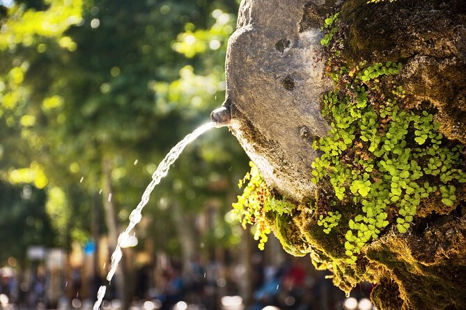 Aix-en-provence Heritage and Food Self-Guided Walking Tour - Who will enjoy this walk most?