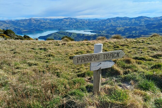 Akaroa Self Guided Electric Scooter Tour - What the NZ$83.78 price really covers