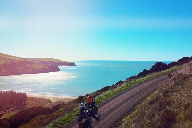Akaroa Self Guided Electric Scooter Tour - Who will enjoy this most?