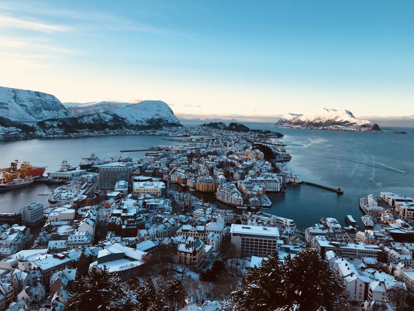 Ålesund: Ålesund and Surrounding Islands Audio Guide Tour - Who will get the most from this tour