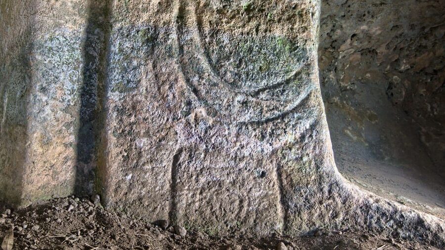 Alghero: Anghelu Ruju Necropolis with Audio Guides - Bull heads and ancient ritual symbols