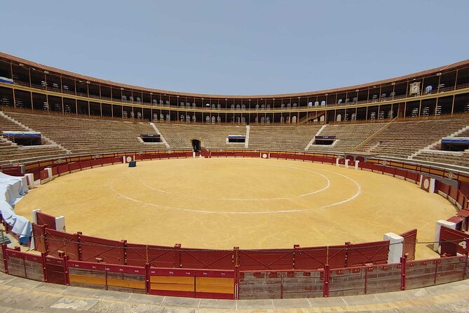 Alicante: Visit with Audio Guide Bullring and Bullfighting Museum - What the English audio guide adds