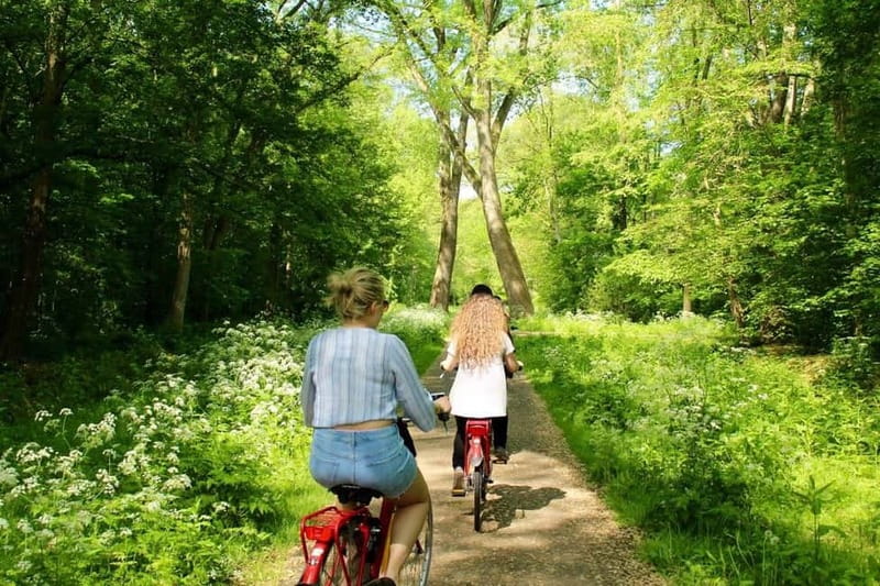 Amsterdam:: Bike Rental with Free Self-Guided Tour - Audio languages and the self-guided style