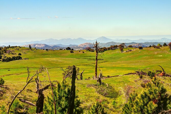 Apple Pies & Desert Skies: A Self-Guided Driving Tour - Borrego Springs Turns the Desert into an Outdoor Art Show