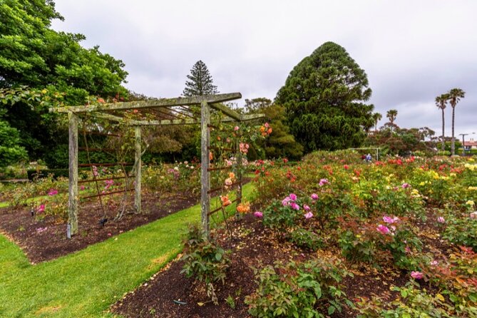 Auckland City Self Guided Walking Tour with an APP - Town Hall and Albert Park