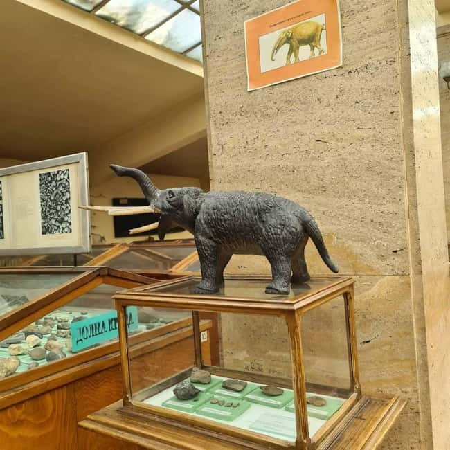 Audio Guide for Museum Paleontology and Historical Geology - Walking through Bulgaria’s oldest university