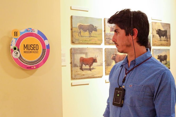 Audio Guided Tour of the Bullring of Las Ventas in Madrid - Entering the arena and finding your bearings