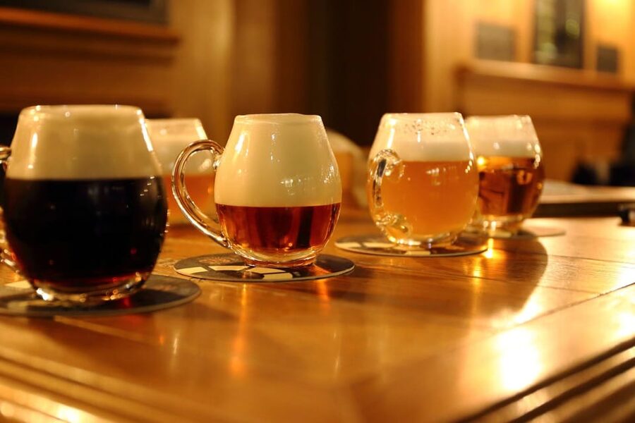 Austrian Beer Tasting and Self-Guided Tour of Vienna - Price, group size, and practical value