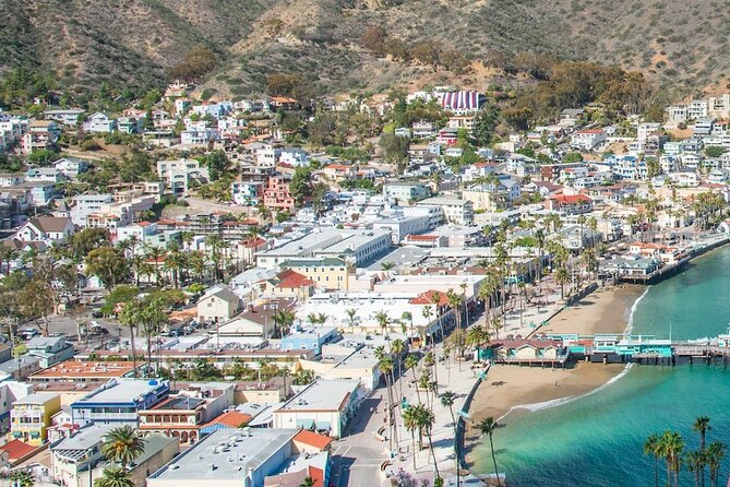 Avalon City: A Self-Guided Audio Tour - Timing the tour around your day