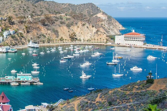 Avalon City: A Self-Guided Audio Tour - Value at $5.24 per person