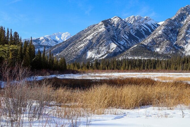 Banff Cave & Hot Springs Audio Walking Tour (Not a Ticket) - Walking beside the Bow River and marsh