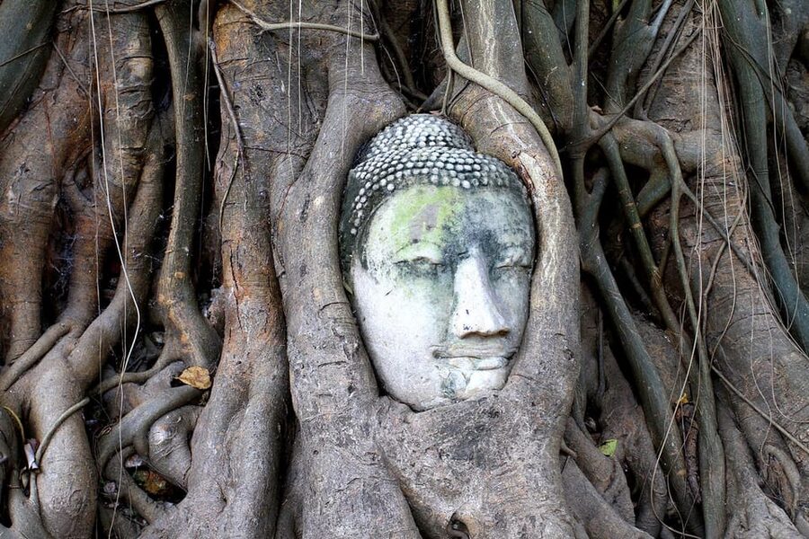 Bangkok: Audio guides for Bangkok, Ayutthaya & Chiang Mai - Is $9 good value?