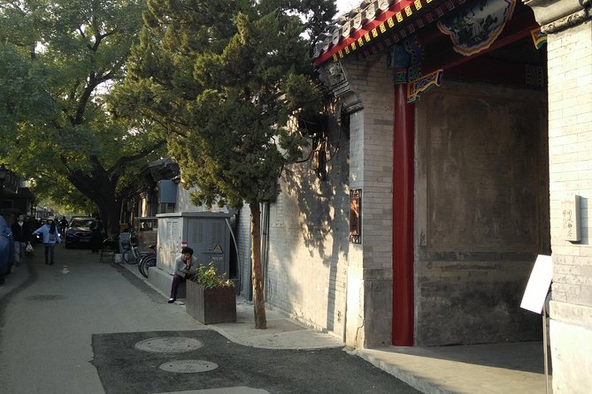 Beijing Tailored Privated Day Trip by Licensed Driver - What the private car adds