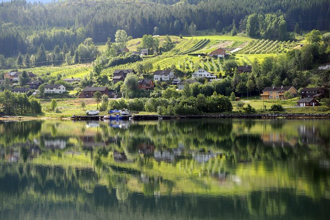Bergen: Self-Guided Roundtrip (Sognefjord Cruise 5h & Flamsbana) - Free time in Flåm before the railway