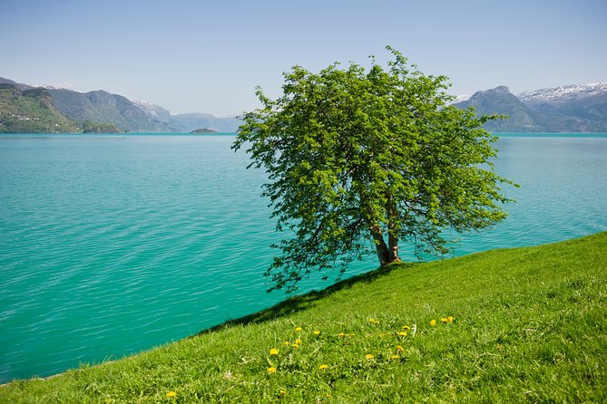 Bergen: Self-Guided Roundtrip (Sognefjord Cruise 5h & Flamsbana) - The cruise: fjord scenery with a busy-season warning