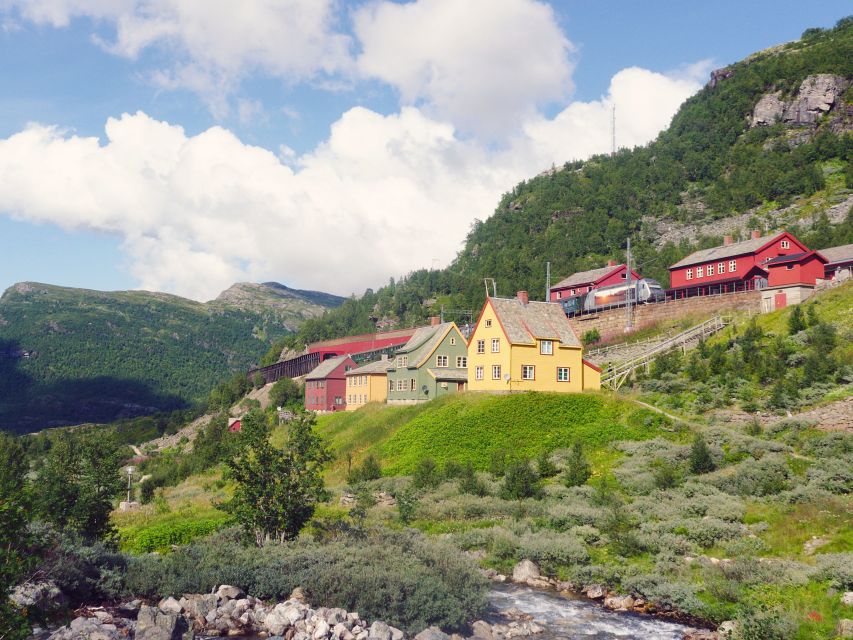 Bergen: Self-Guided Trip to Oslo with Sognefjord cruise (5h) - A one-day route across Norway