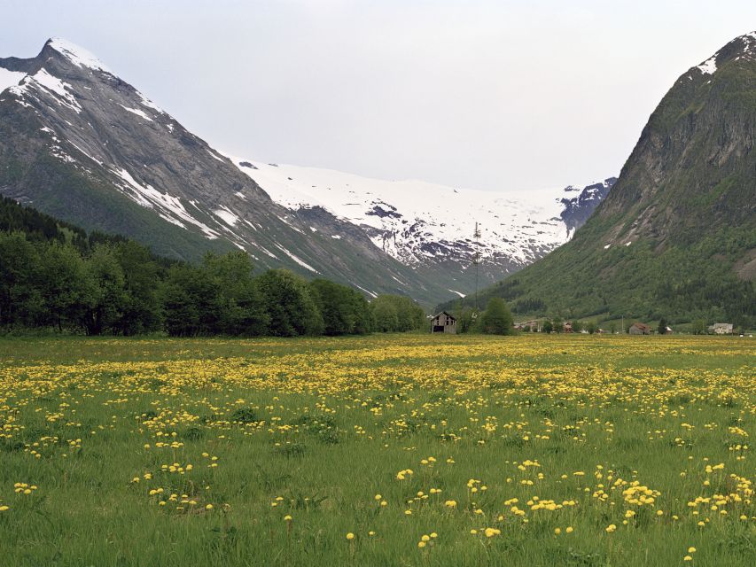 Bergen: Self-Guided Trip to Oslo with Sognefjord cruise (5h) - The Sognefjord cruise is the day’s calm center