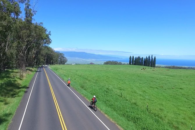 Best Haleakala Downhill Self-Guided Bike Tour with Maui Sunriders - The Kula transfer and the route’s biggest limitation