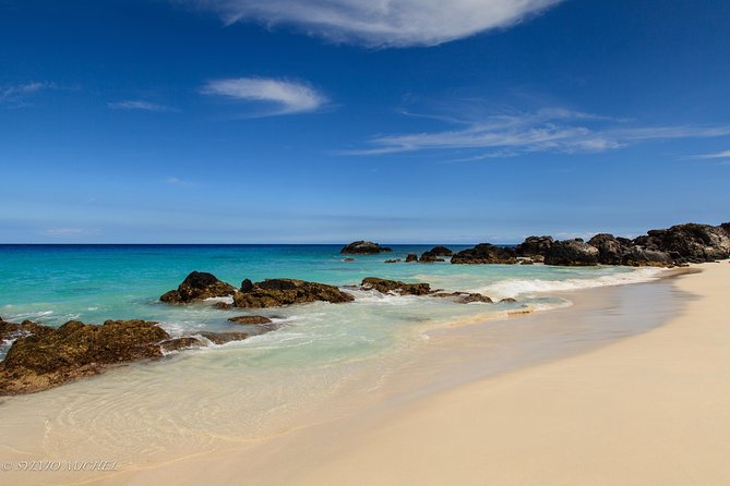 Big Island Adventure Bundle: 5 Epic Audio Driving Tours - Day two: Waimea, Hāmākua, and Hilo