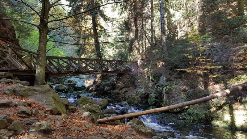 Black Forest: Ravenna Gorge Hike, Self-Guided - Why Ravenna Gorge is worth the train ride
