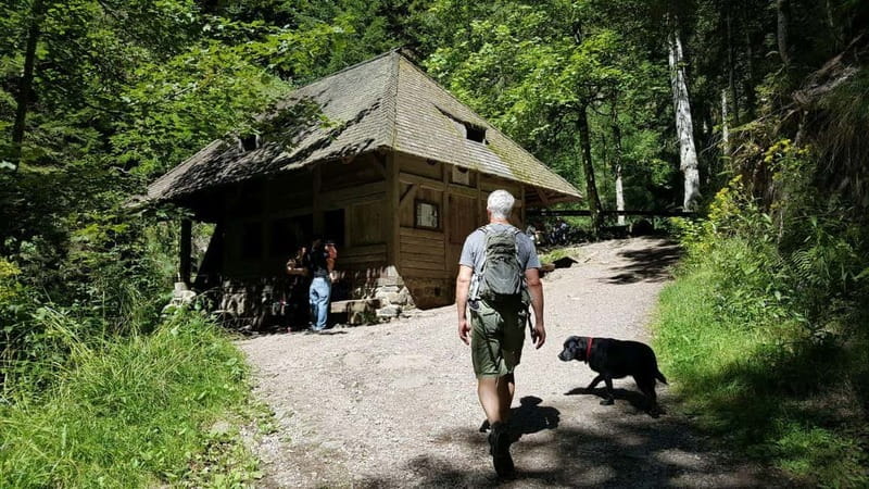Black Forest: Ravenna Gorge Hike, Self-Guided - How much value do you get for $5?