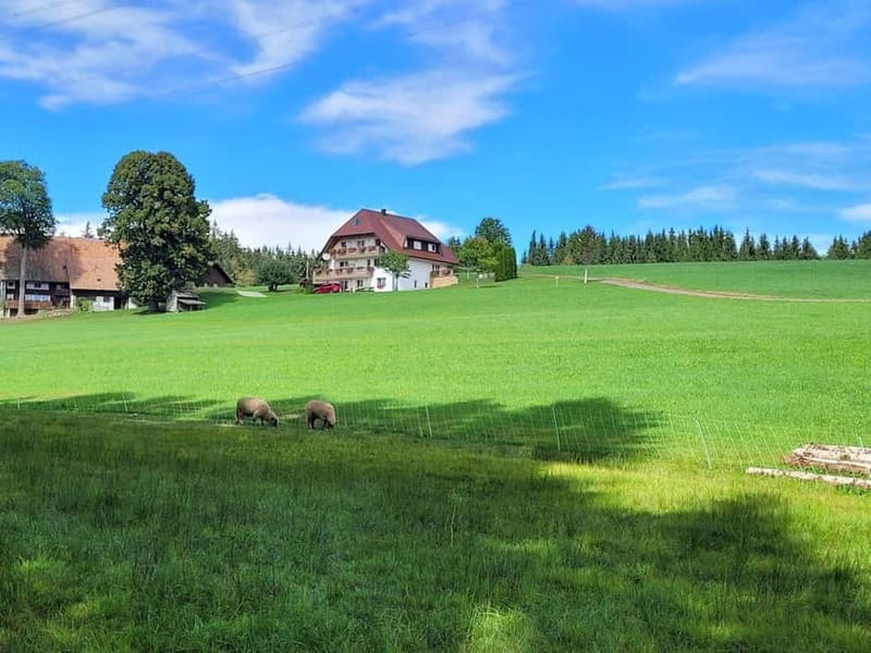 Black Forest: Ravenna Gorge Hike, Self-Guided - Starting at Hinterzarten station