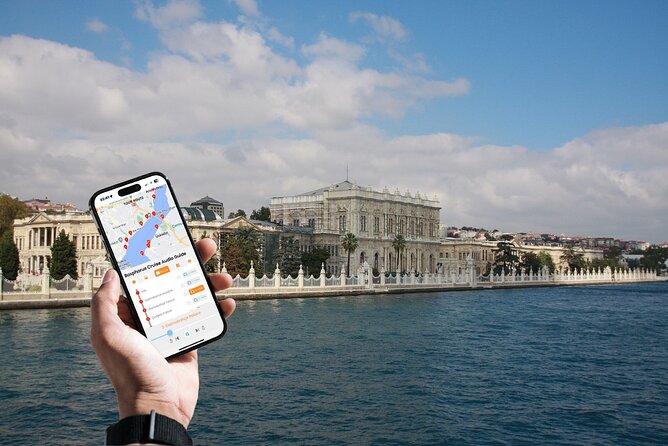 Bosphorus Daytime or Sunset Sightseeing Cruise & Audio Guide - Bridges, islands, and the long view up the strait