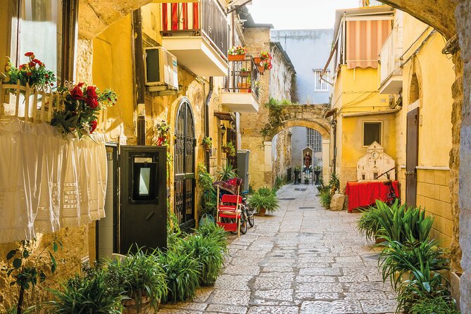 Brindisi Walking Tour with Audio and Written Guide by a Local - The Francesco Ribezzo Museum and Messapian Brindisi