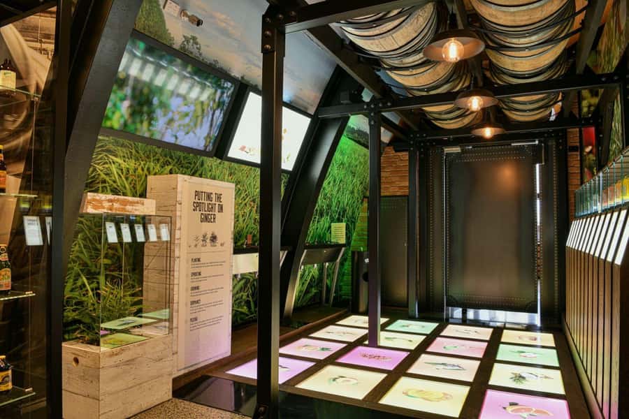 Bundaberg: Brew Tasting and Self-Guided Gallery Tour - Value, access, and booking flexibility
