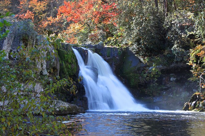 Cades Cove Sightseeing Self-Guided Driving Audio Tour - Why an audio guide helps on Cades Cove Loop Road