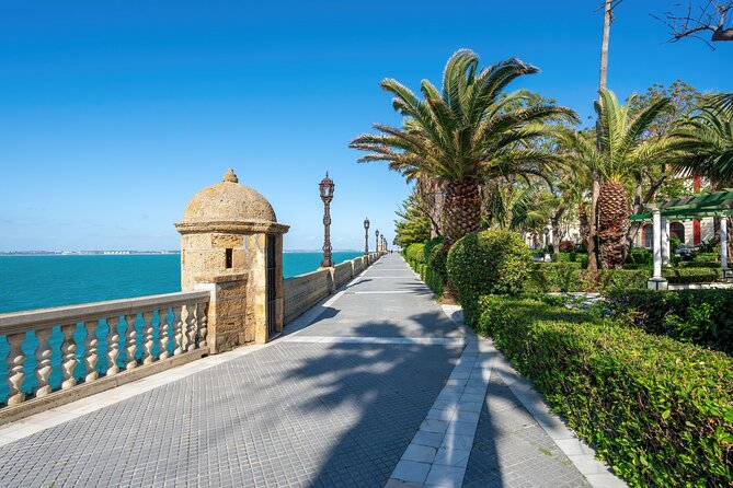Cádiz TukTuk Tour with Audio Guide - A smart first look at Cádiz from the port