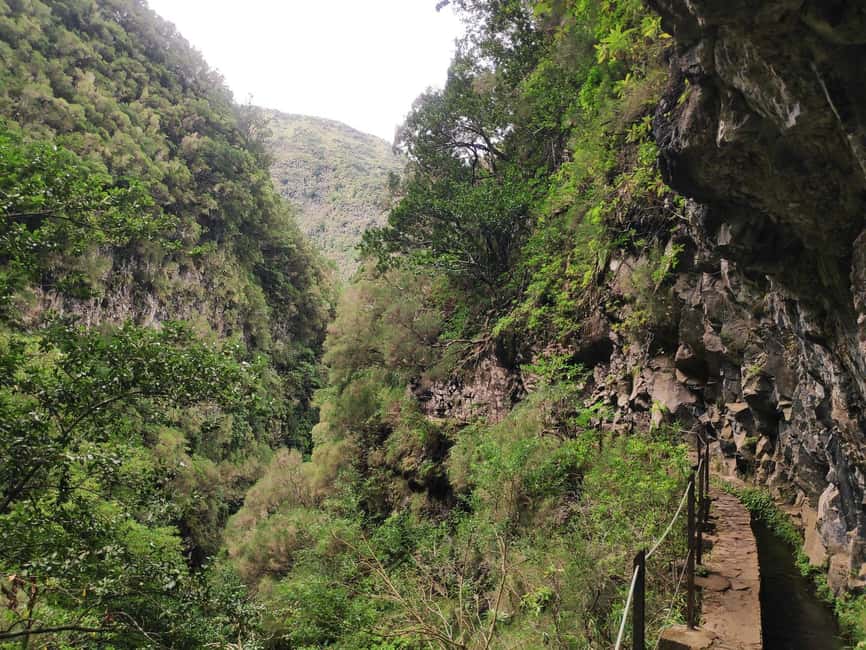 Caldeirão Verde: Queimadas PR9 Transfer and Self-Guided Hike - Is the self-guided Caldeirão Verde transfer worth booking?